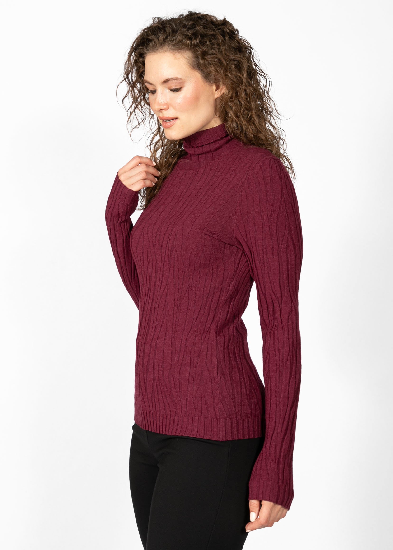 PULL À MANCHES LONGUES ET COL ROULÉ
